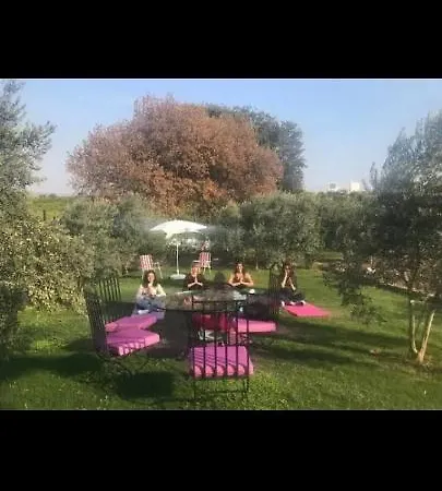 Daire Teos Antik Kent Izmir Havuzlu 6 Ve Mutfak *