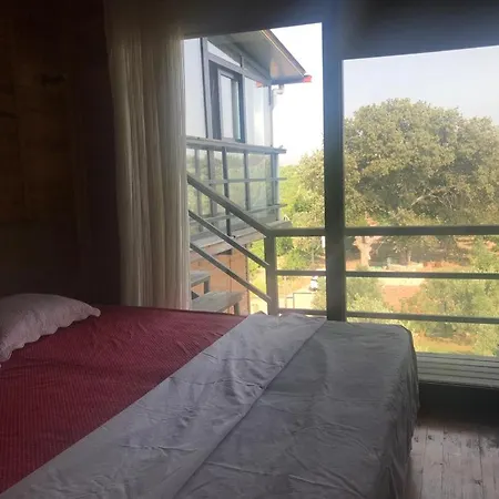 Daire Teos Antik Kent Izmir Havuzlu 6 Ve Mutfak *