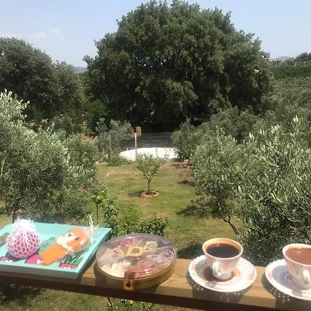 Daire Teos Antik Kent Izmir Havuzlu 6 Ve Mutfak